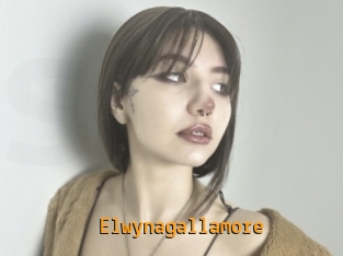 Elwynagallamore