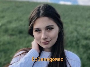 Erlenegomer