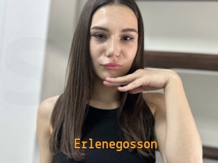 Erlenegosson