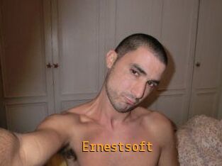 Ernestsoft