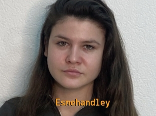 Esmehandley