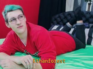 Ethanforest