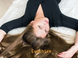 Evachice