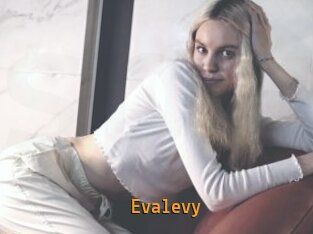 Evalevy