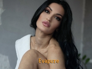 Evapure