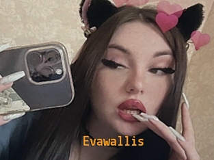 Evawallis