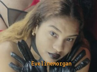 Evelinemorgan