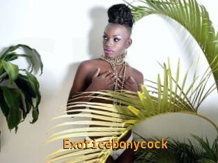 Exoticebonycock