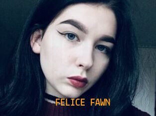FELICE_FAWN