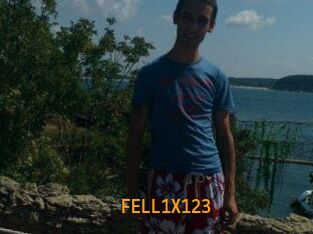 FELL1X123