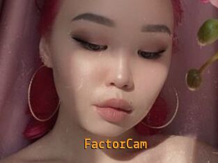 FactorCam
