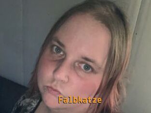 Falbkatze