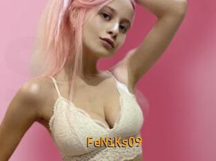 FeNiKs09