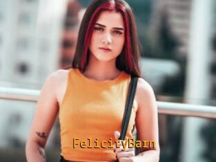 FelicityBarn