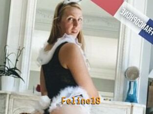 Feline18