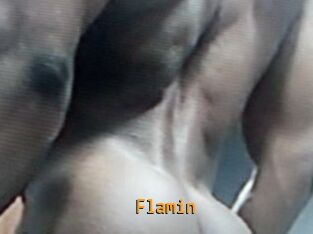 Flamin
