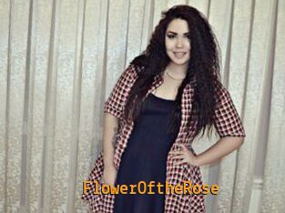 FlowerOftheRose