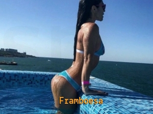Framboesa