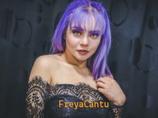 FreyaCantu