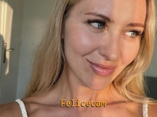 Felicecam