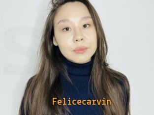 Felicecarvin