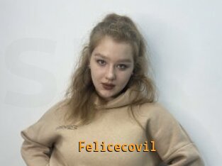 Felicecovil
