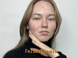 Feliceflowers