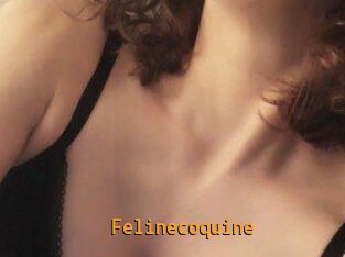 Felinecoquine