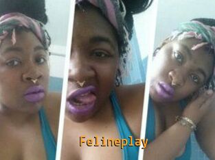 Felineplay