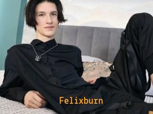 Felixburn