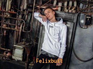 Felixburt