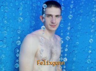 Felixgunn