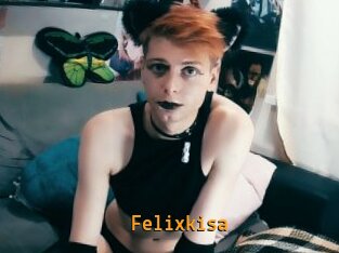 Felixkisa