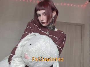 Felixwinter