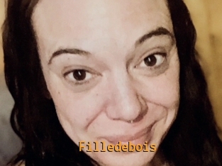 Filledebois