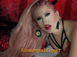 Findomgoaldigger