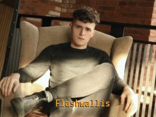 Flashwallis