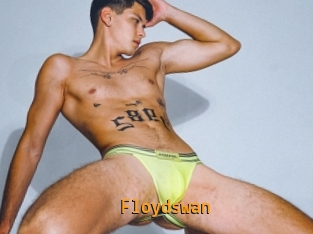 Floydswan
