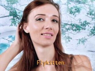 Flykitten