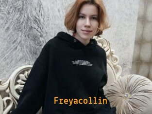Freyacollin