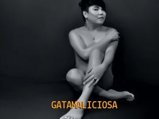 GATAMALICIOSA