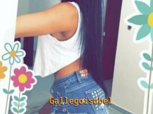 Gallegoisabel Sexcam Portal