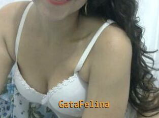 GataFelina