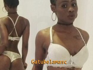 Gatubela_masc