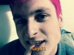 Gay411