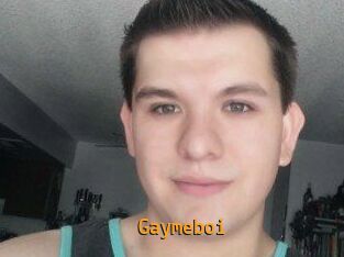 Gaymeboi