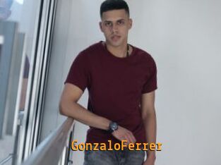 GonzaloFerrer