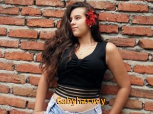 Gabyharvey