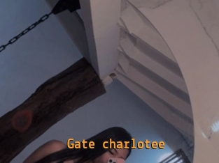 Gate_charlotee