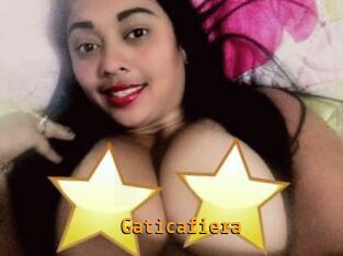 Gaticafiera